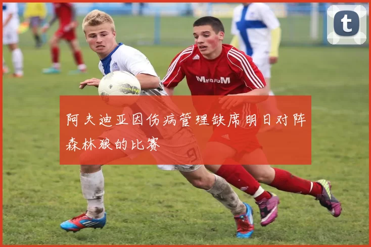 阿夫迪亚因伤病管理缺席明日对阵森林狼的比赛